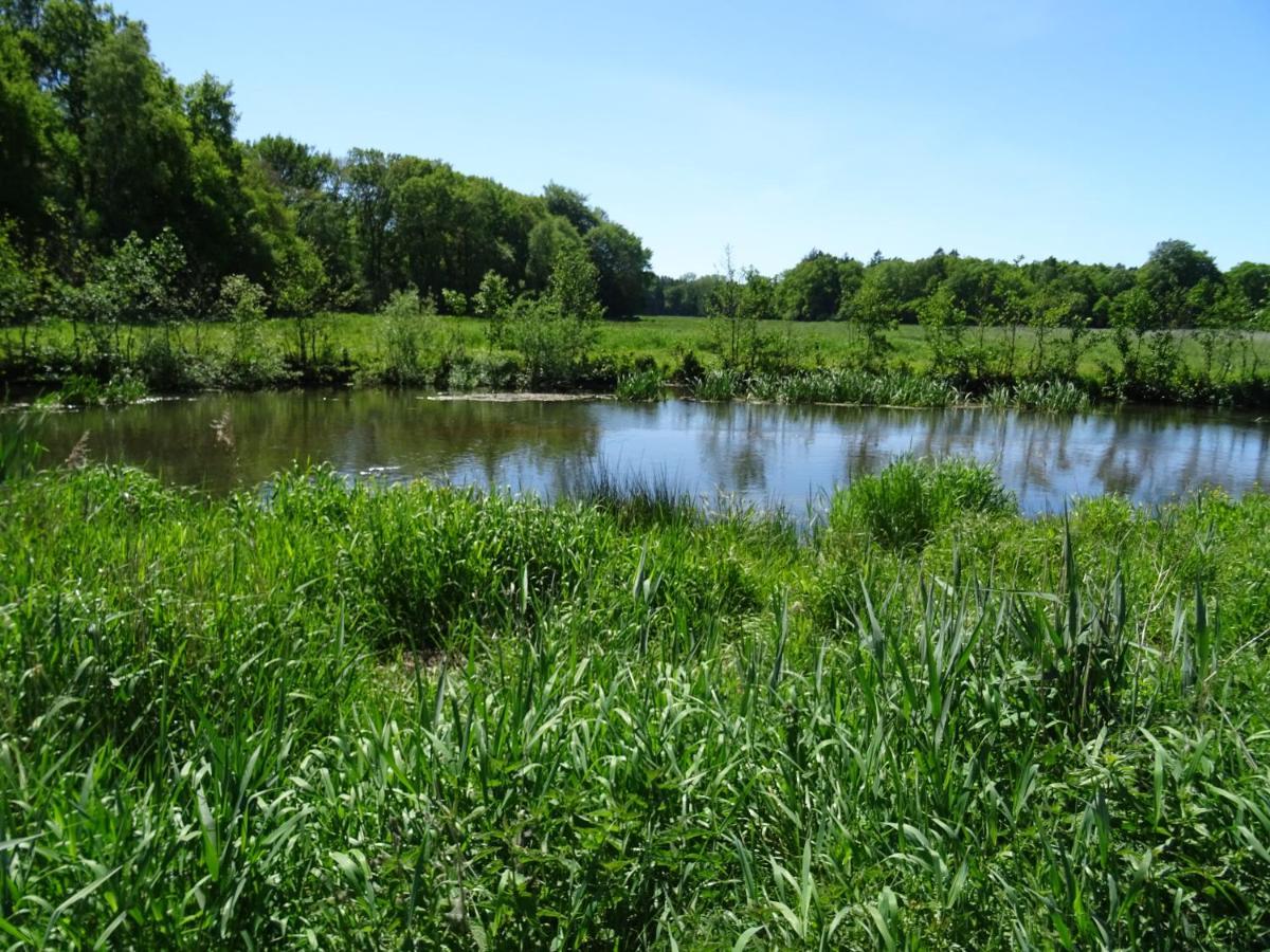 Haus Wald Und Wiese Wohnung Wiese Ehndorf Eksteriør bilde
