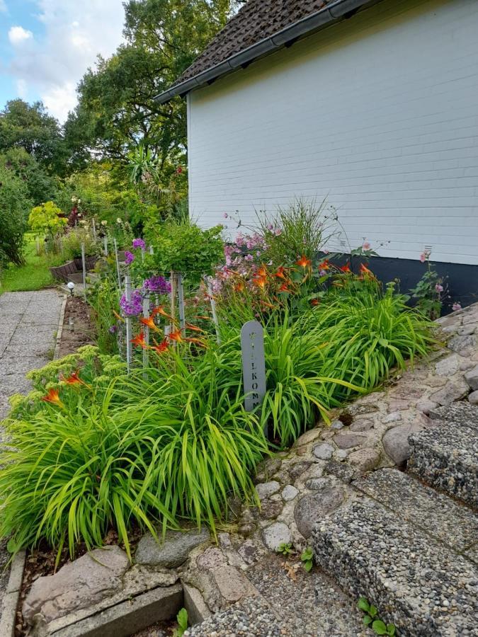 Haus Wald Und Wiese Wohnung Wiese Ehndorf Eksteriør bilde